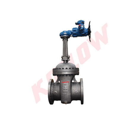 API 600 Double Gate Valve