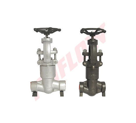 API 602 forged steel globe valve