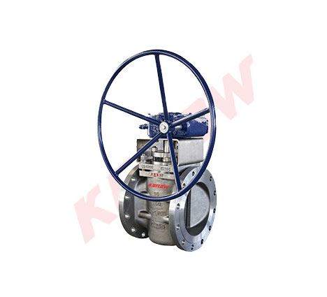 Sleeve type plug valve