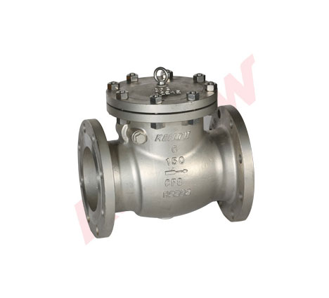 Corrosion resistant check valve